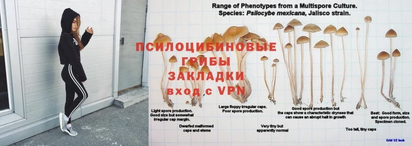 наркотики Беломорск